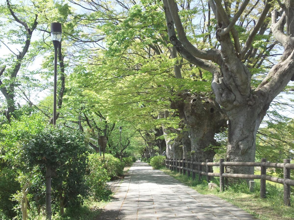 Business Hotel Serikawa Hikone Εξωτερικό φωτογραφία